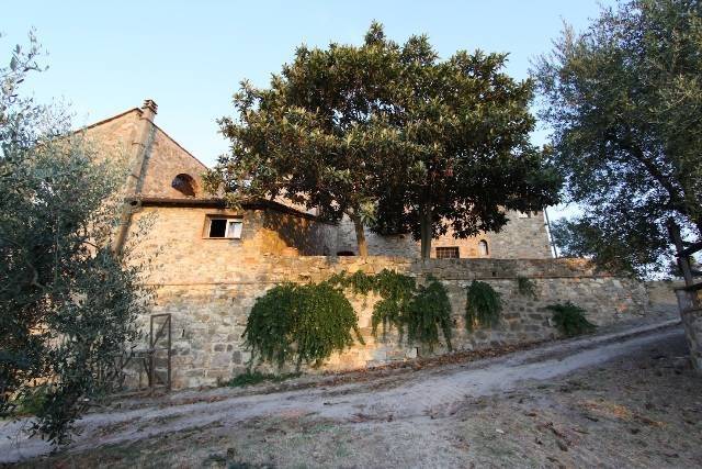 Rustico / casale a Poggibonsi - Foto 4