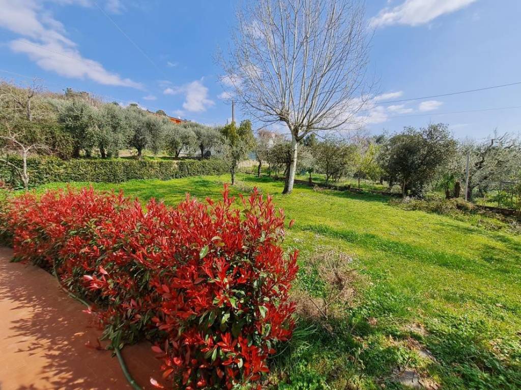 Villa a Montecarlo in Via Micheloni - Foto 5