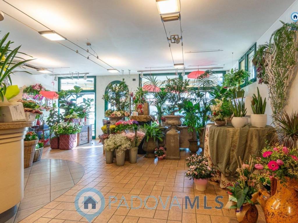 Immobile a Padova in Via Romana Aponense - Foto 4