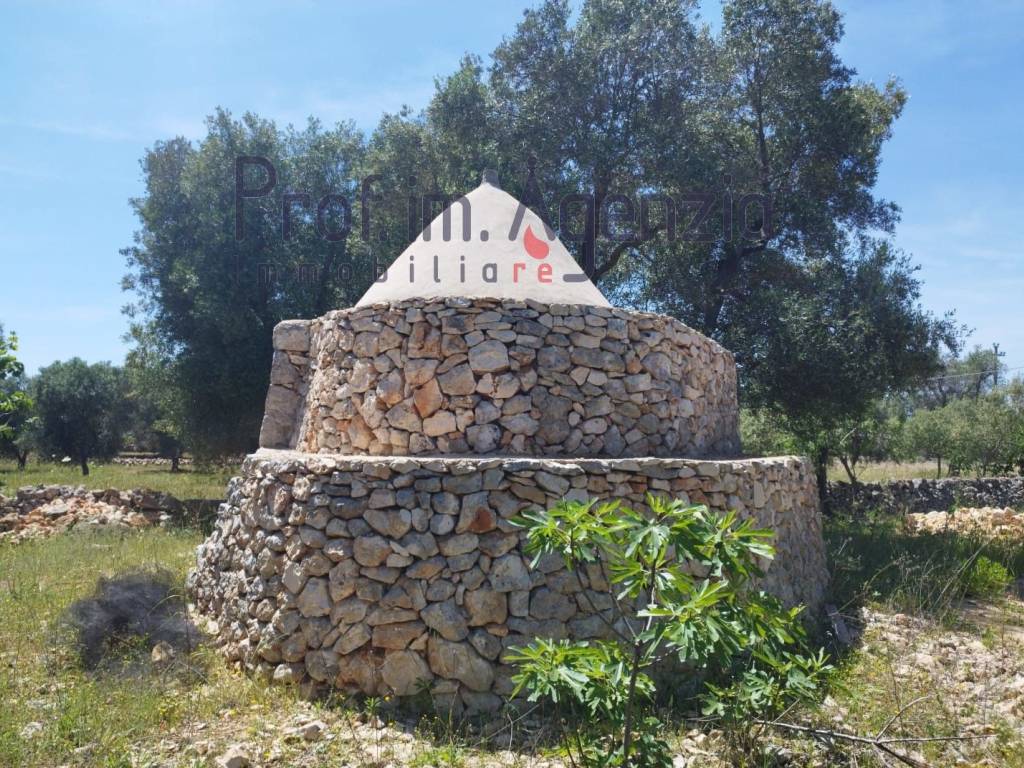 Rustico / casale a Carovigno - Foto 2