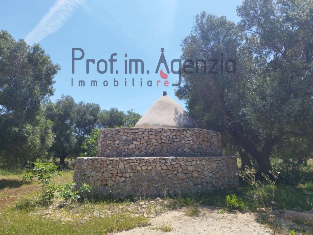 Rustico / casale a Carovigno - Foto 3