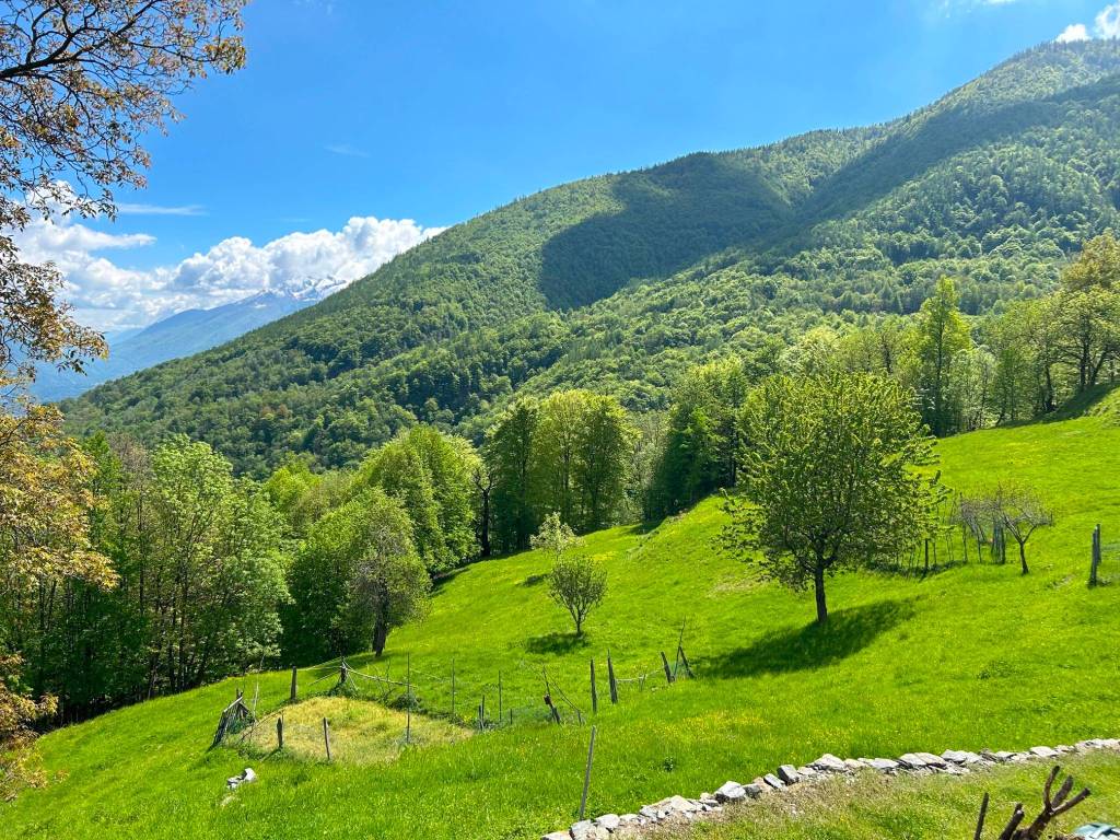 Rustico / casale a Bognanco in Località Pioi - Foto 4