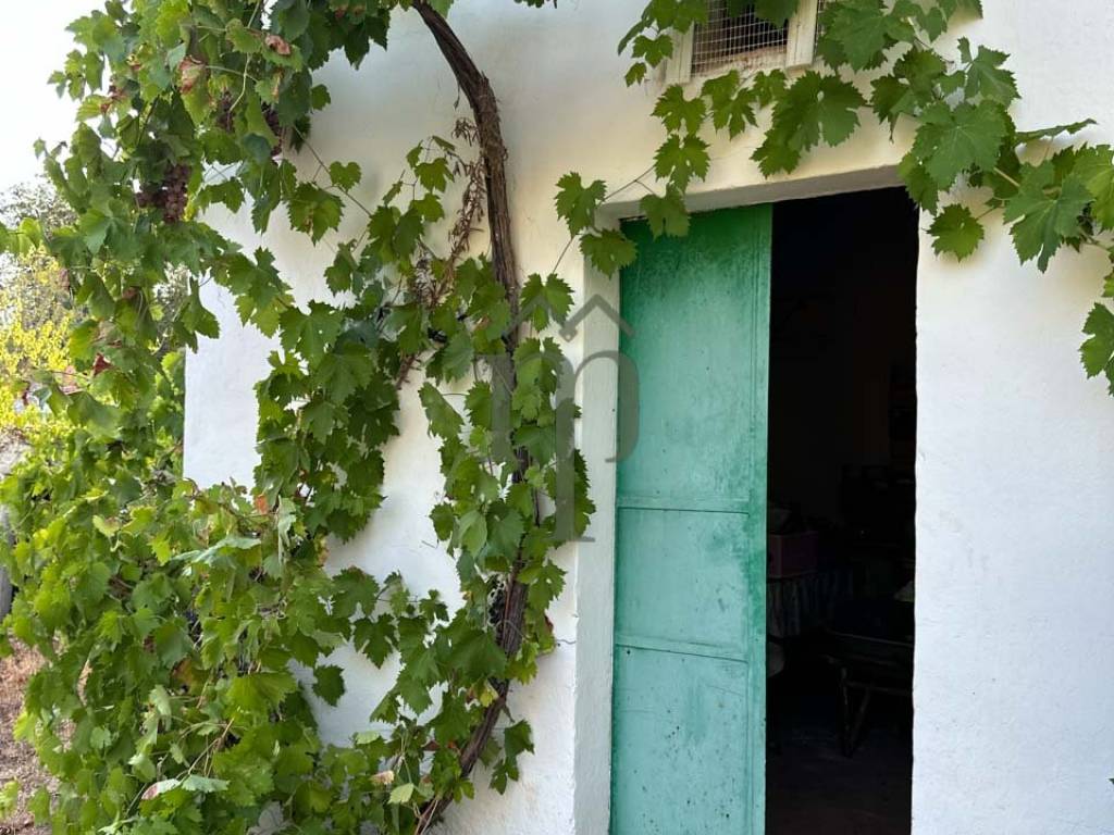 Rustico / casale a Ostuni in SP31 - Foto 2