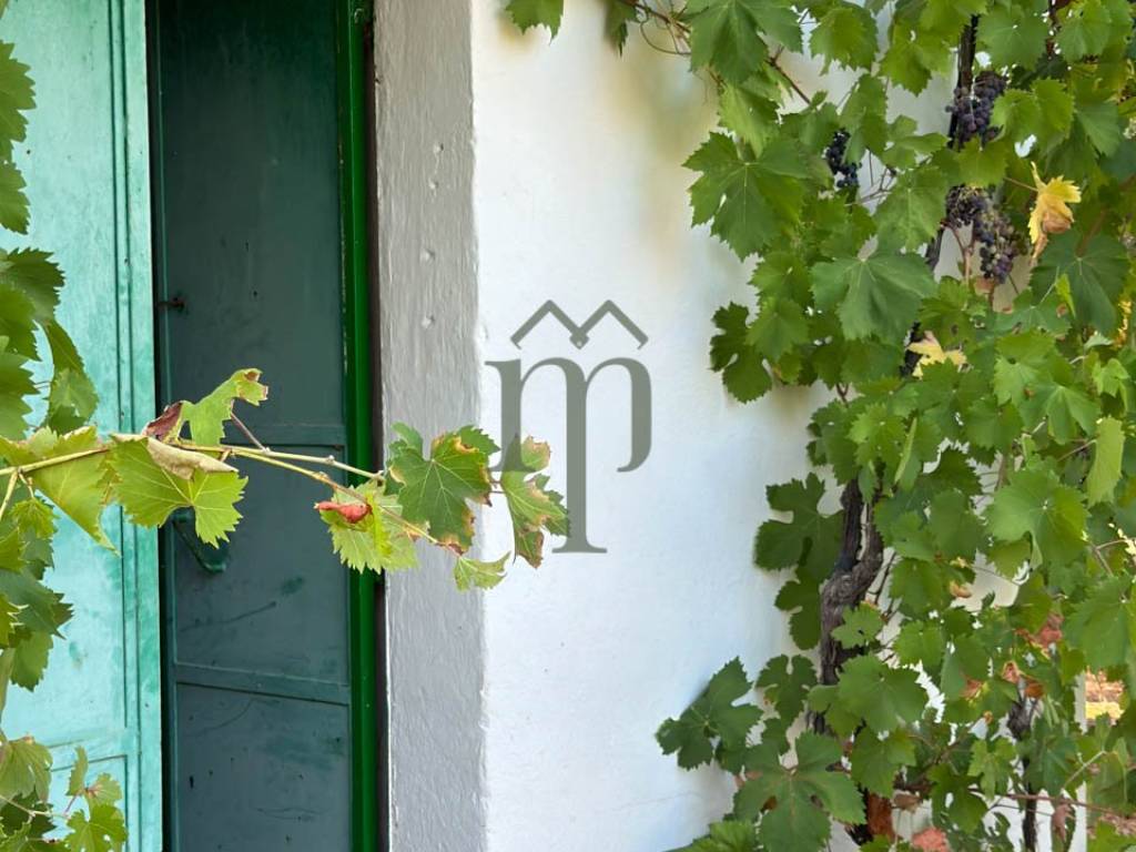 Rustico / casale a Ostuni in SP31 - Foto 4