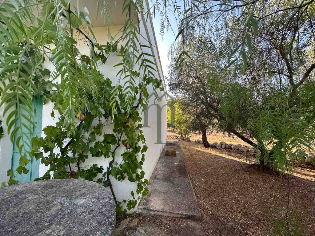 Rustico / casale a Ostuni in SP31 - Foto 5