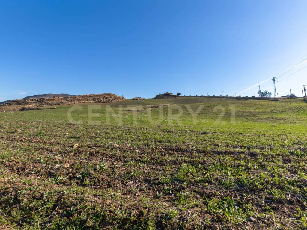 Terreno a Centuripe in Strada Provinciale 23b - Foto 3