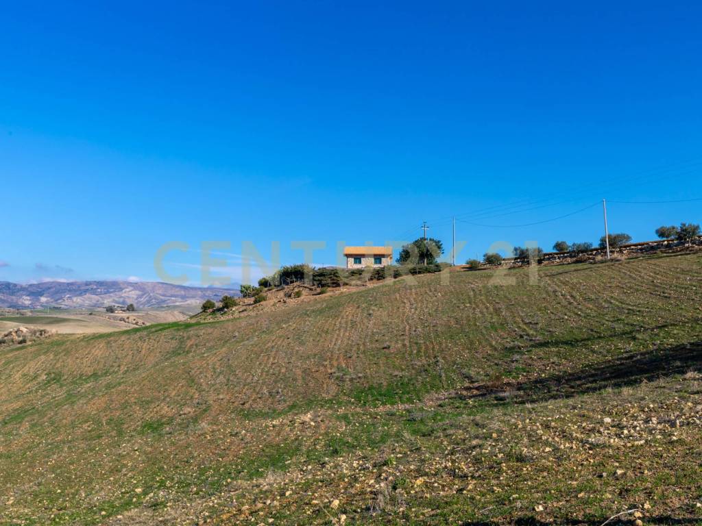 Terreno a Centuripe in Strada Provinciale 23b - Foto 4