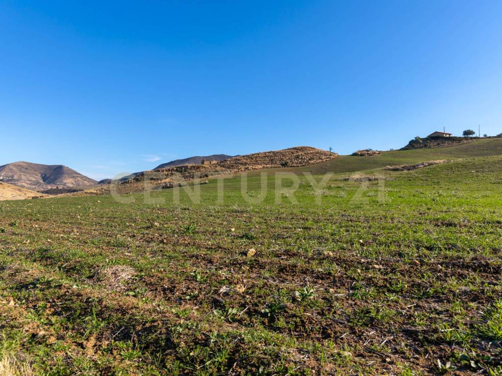 Terreno a Centuripe in Strada Provinciale 23b - Foto 5