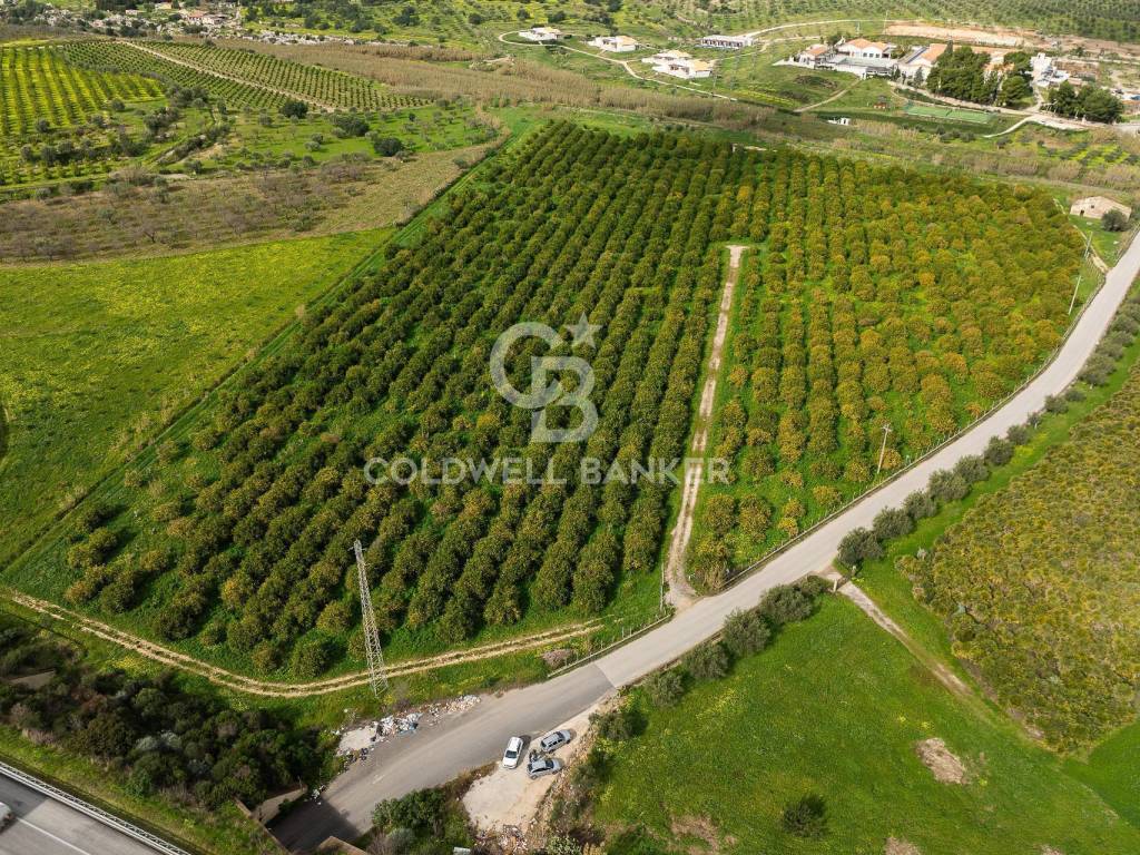 Terreno a Noto in Contrada Belludia - Foto 2