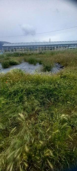 Terreno a Ceriale - Foto 4