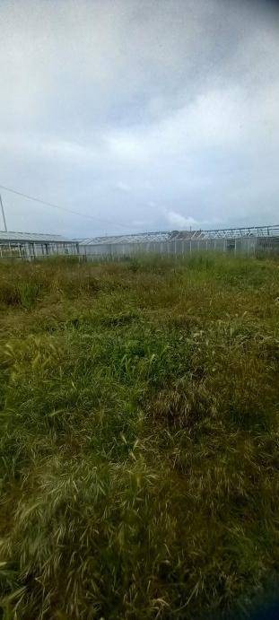 Terreno a Ceriale - Foto 5