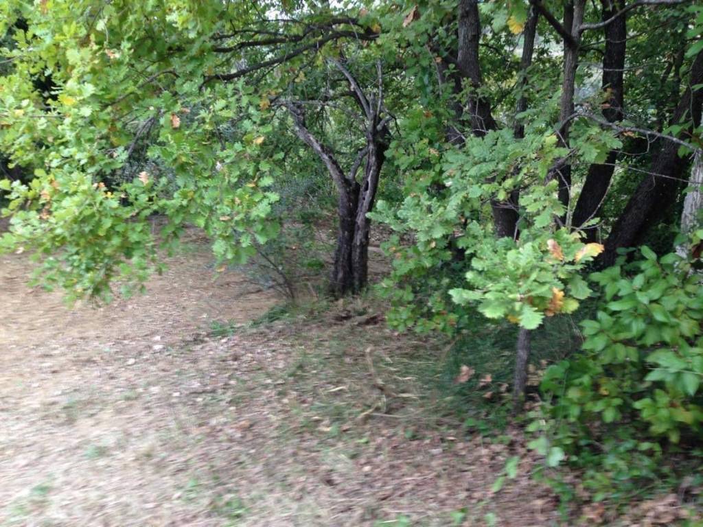 Terreno a Minturno in Via Luigi Cadorna - Foto 3