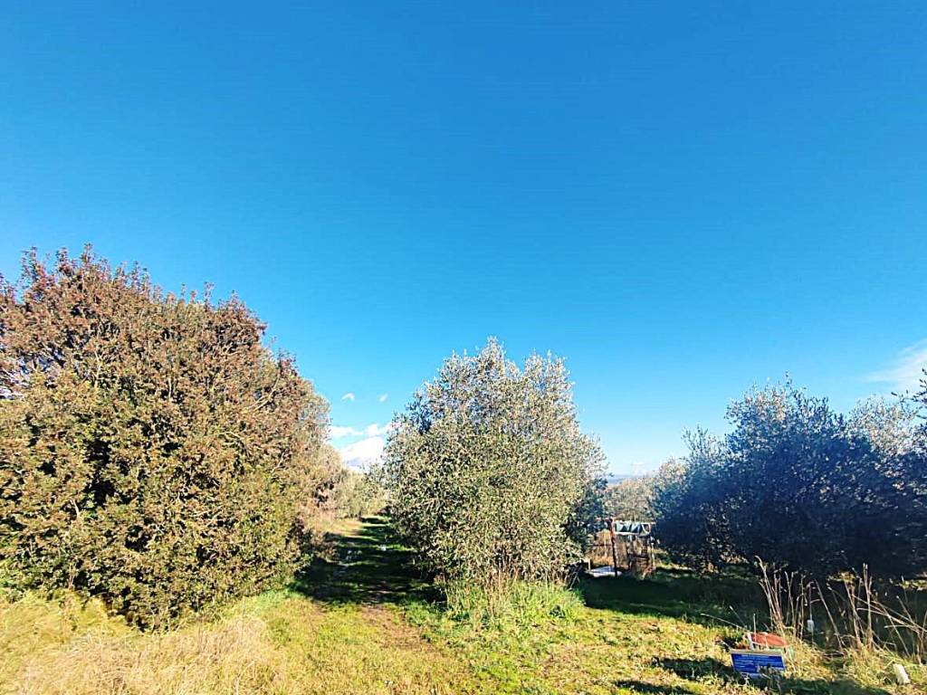 Villa a Castiglione della pescaia in Località Vaticino - Foto 4