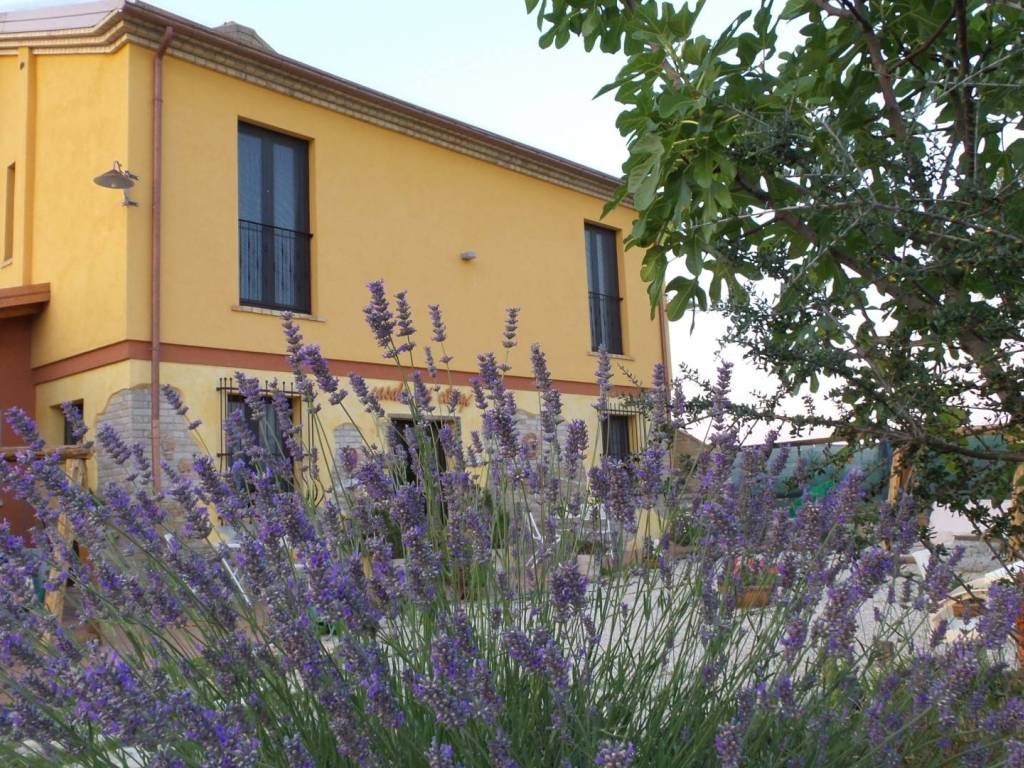 Rustico / casale a Campli in Frazione FLORIANO CASE SPARSE - Foto 2