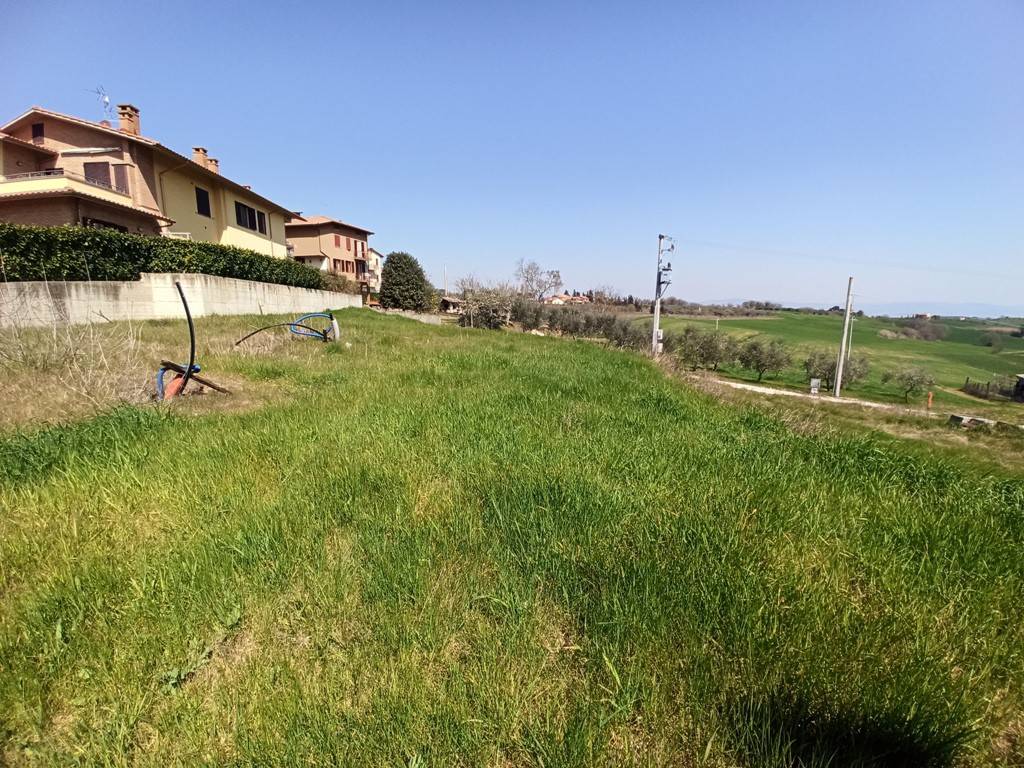 Terreno a Castiglione del lago - Foto 3