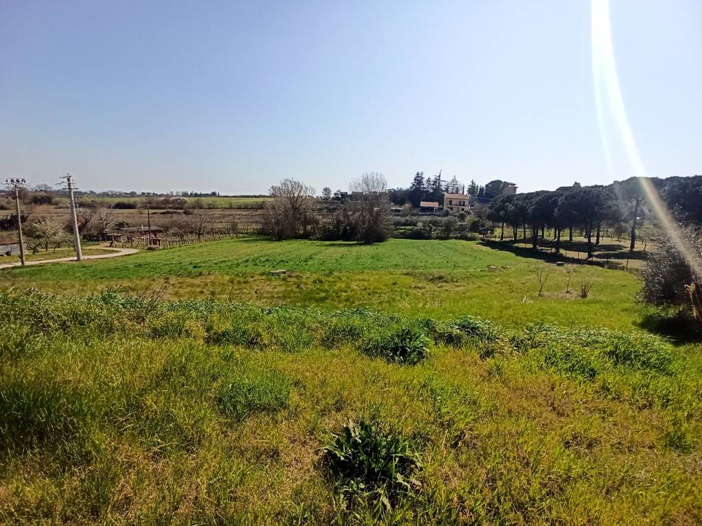 Terreno a Castiglione del lago - Foto 4