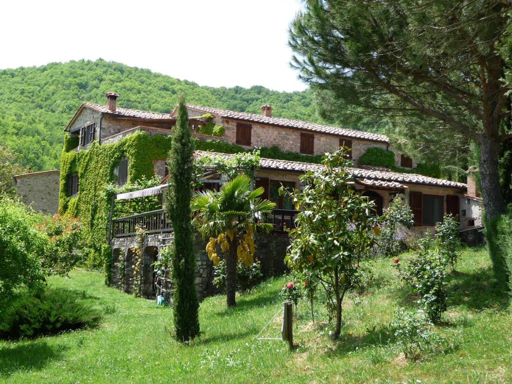 Rustico / casale a Montieri in Località Casa Nova - Foto 3