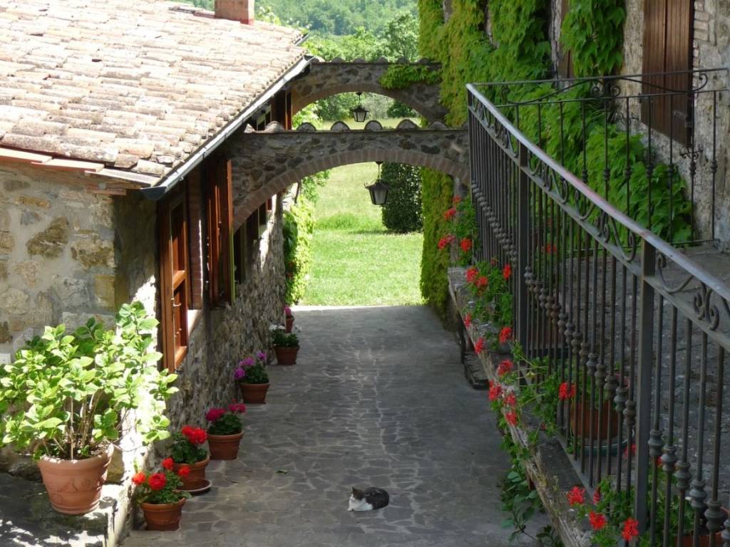 Rustico / casale a Montieri in Località Casa Nova - Foto 5