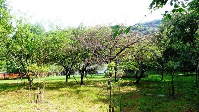 Villa a Stella - Foto 3