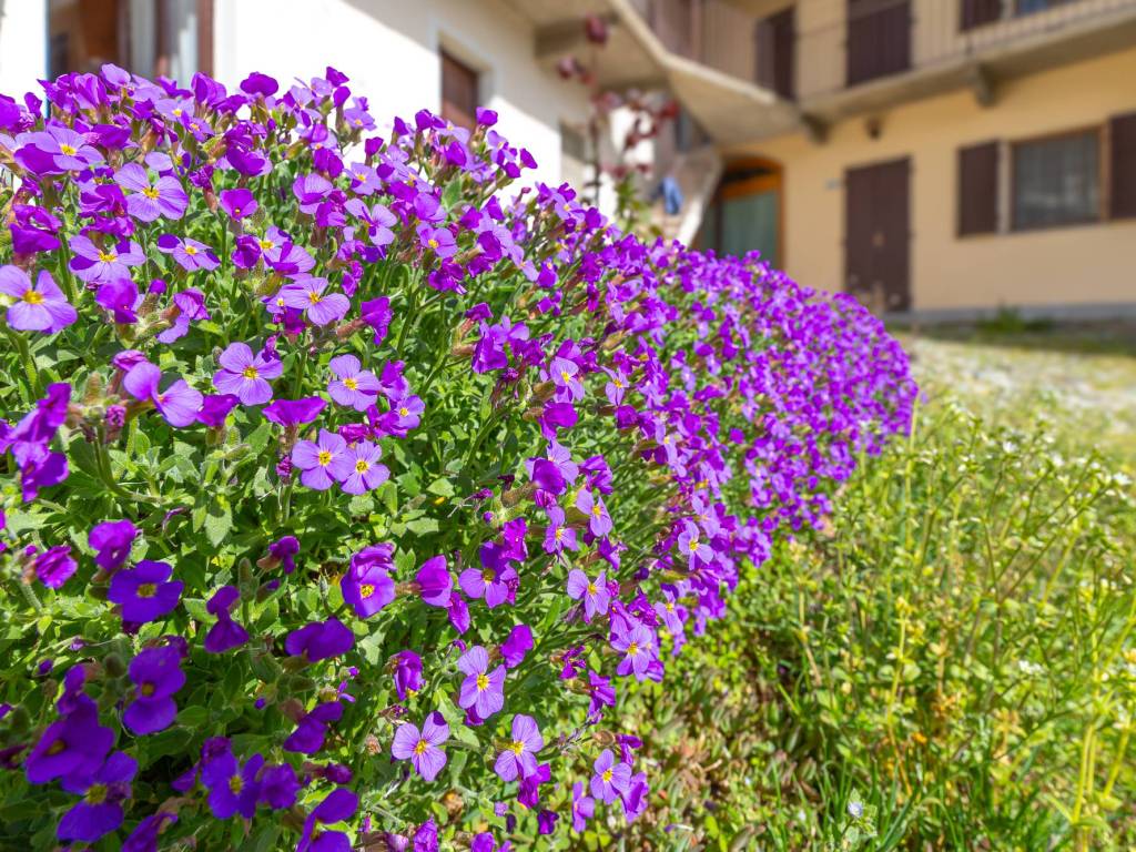 Casa indipendente a Magnano in Regione Broglina, 7 - Foto 2
