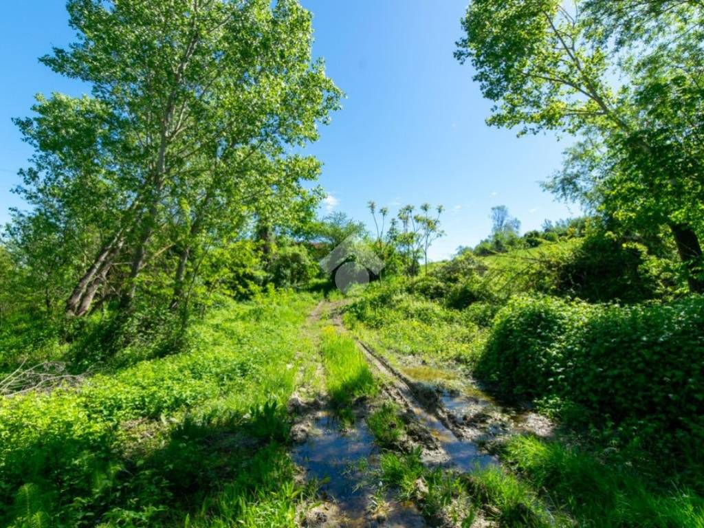 Rustico / casale a Casale monferrato in Strada alla Morana, 7 - Foto 4