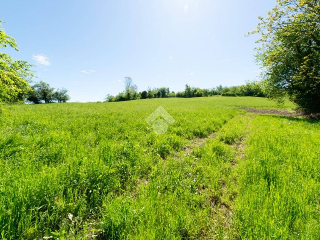 Rustico / casale a Casale monferrato in Strada alla Morana, 7 - Foto 5