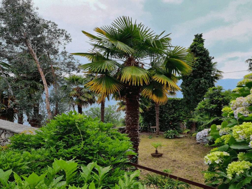 Villa a Oggebbio in Frazione Rancone - Foto 5