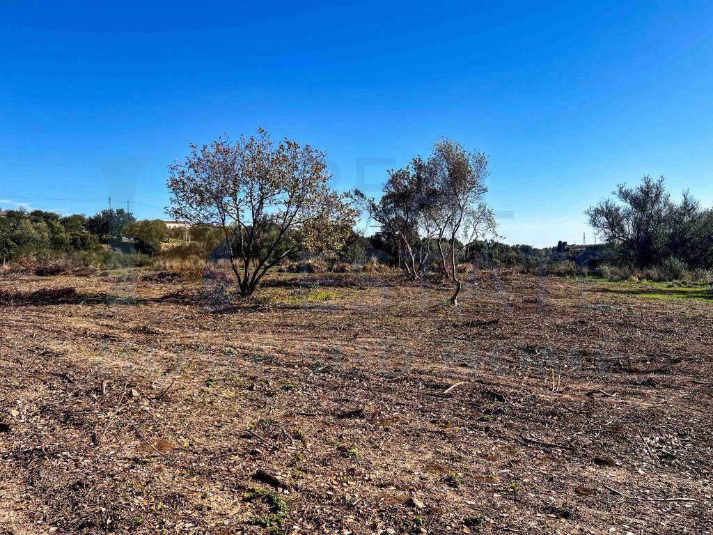 Terreno a Noto in Via Tommaso Fazello, 228 - Foto 2