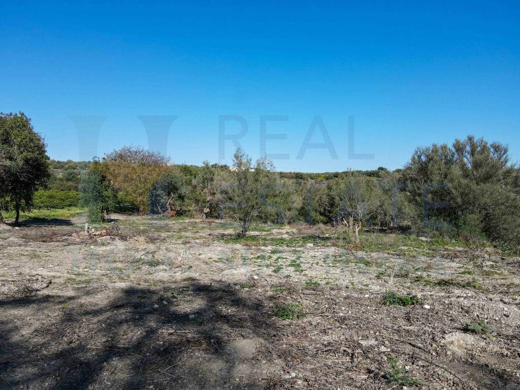 Terreno a Noto in Via Tommaso Fazello, 228 - Foto 3