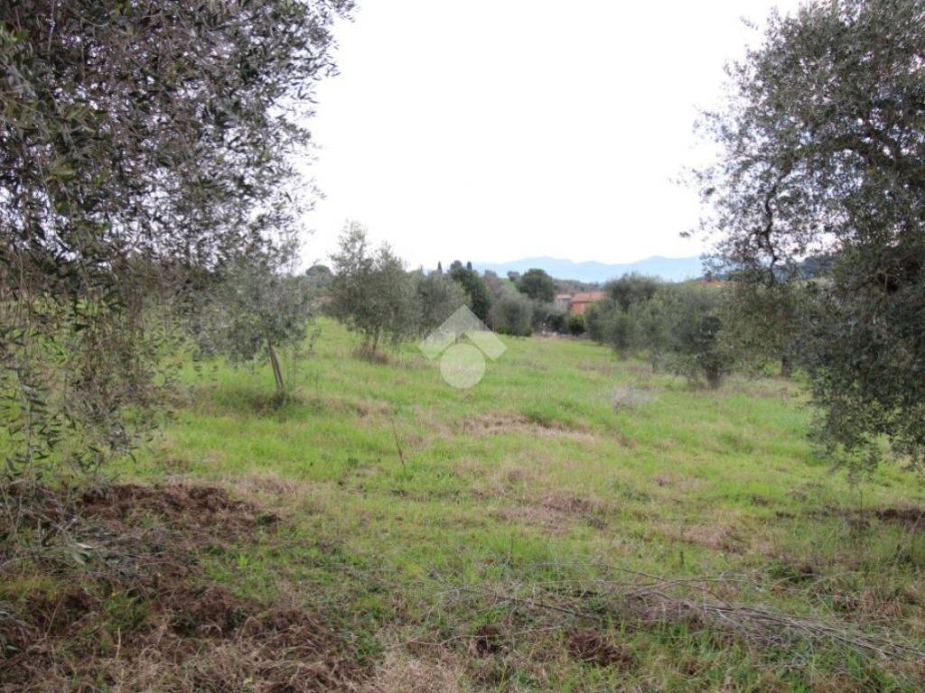 Terreno a Montopoli di sabina in VIA TERNANA - Foto 3