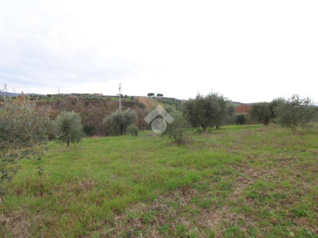 Terreno a Montopoli di sabina in VIA TERNANA - Foto 4