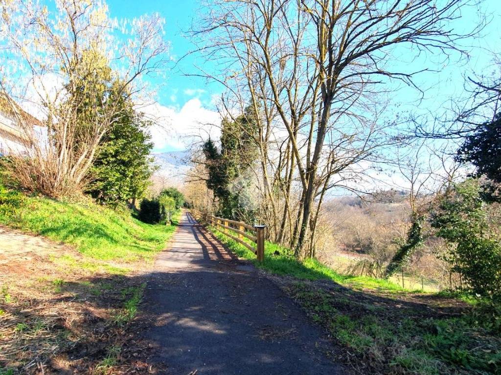 Rustico / casale a Serrone in Via Colli - Foto 4