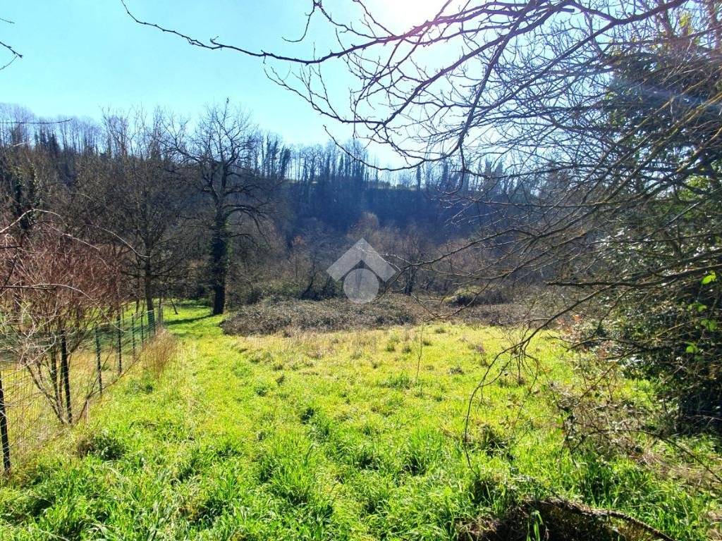 Rustico / casale a Serrone in Via Colli - Foto 5