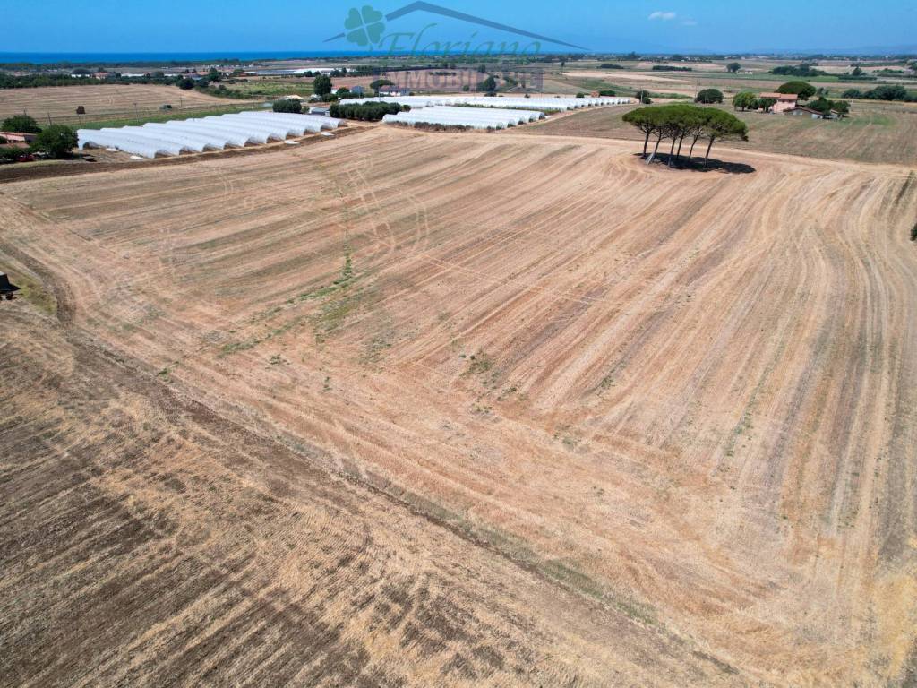 Terreno a Montalto di castro in Strada Provinciale Pescia Romana - Foto 2