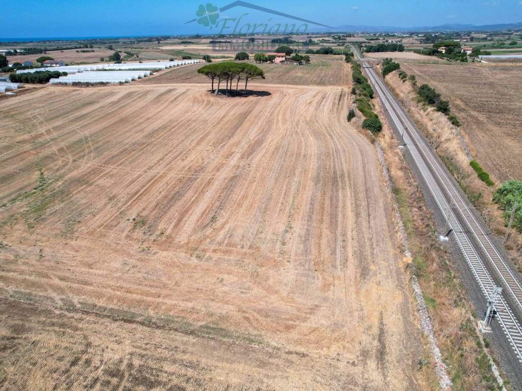 Terreno a Montalto di castro in Strada Provinciale Pescia Romana - Foto 3