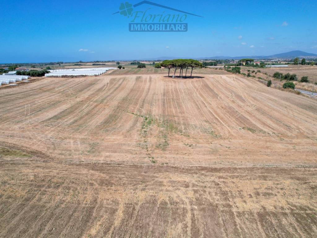 Terreno a Montalto di castro in Strada Provinciale Pescia Romana - Foto 4