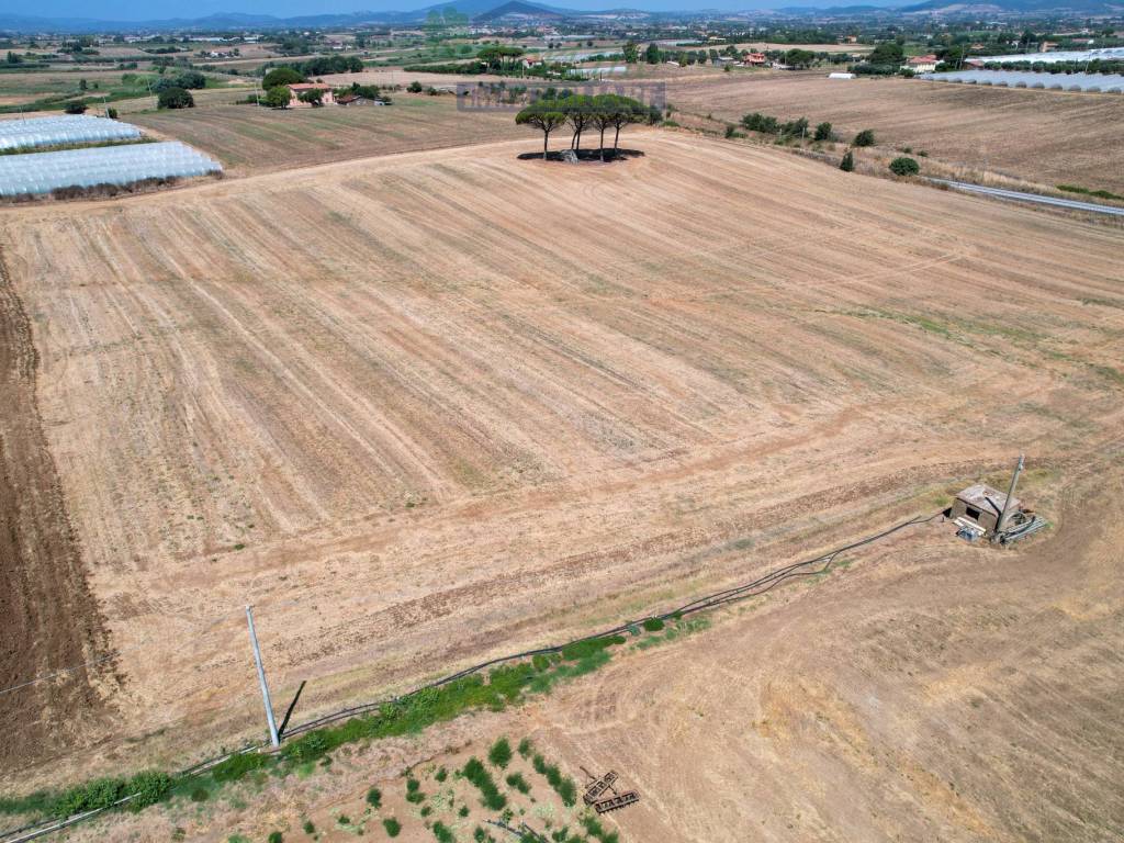 Terreno a Montalto di castro in Strada Provinciale Pescia Romana - Foto 5