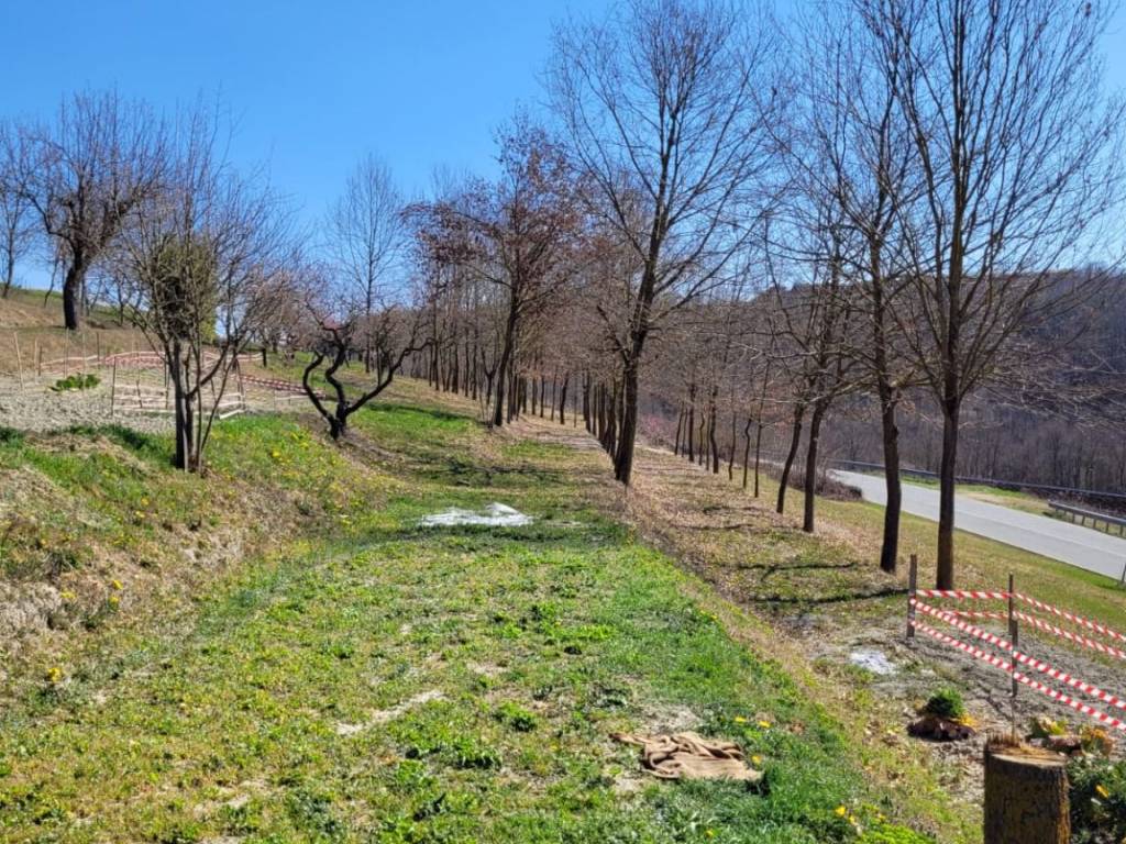 Rustico / casale a Aramengo - Foto 4