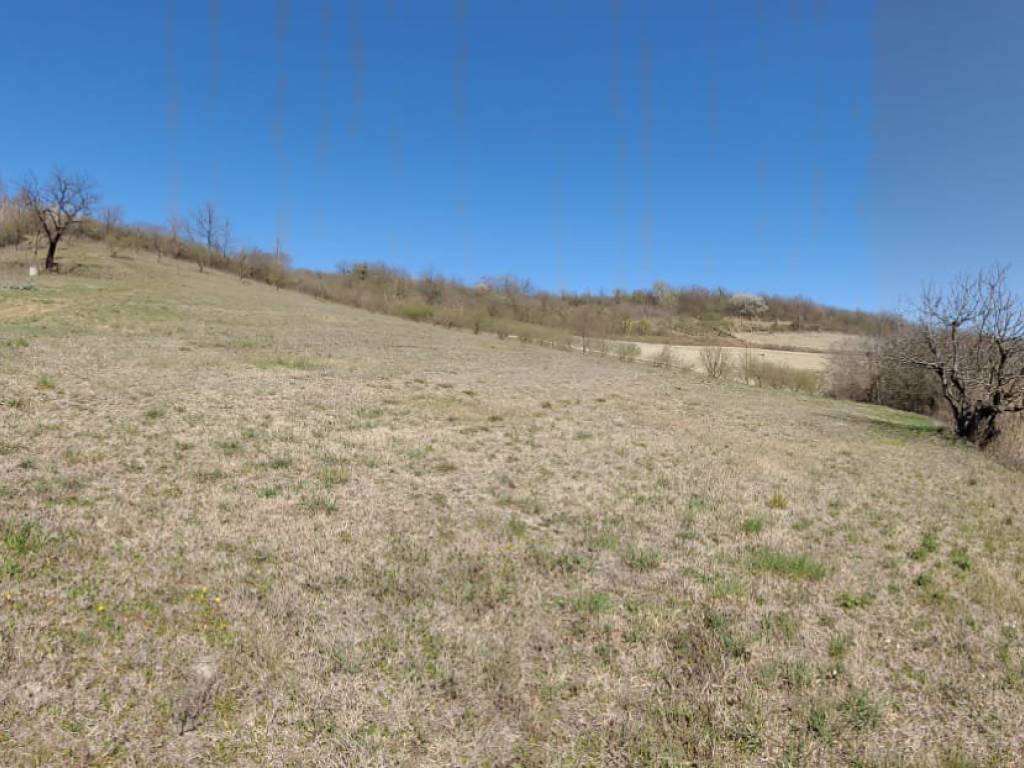 Rustico / casale a Aramengo - Foto 5