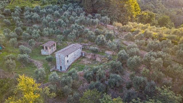 Rustico / casale a Massarosa in via dei venti, 33 - Foto 2