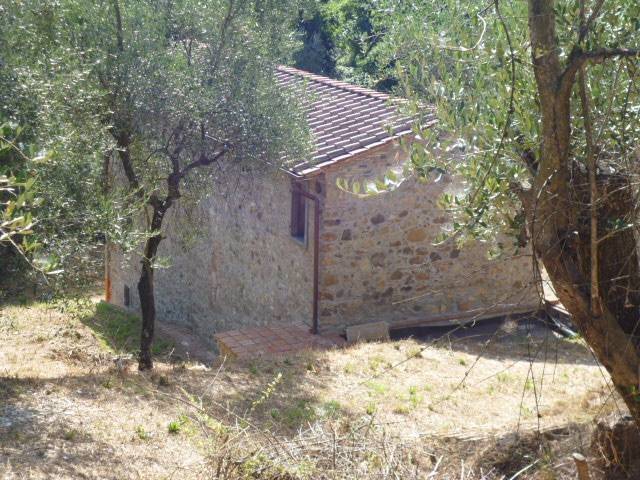 Rustico / casale a Massarosa in via dei venti, 33 - Foto 5