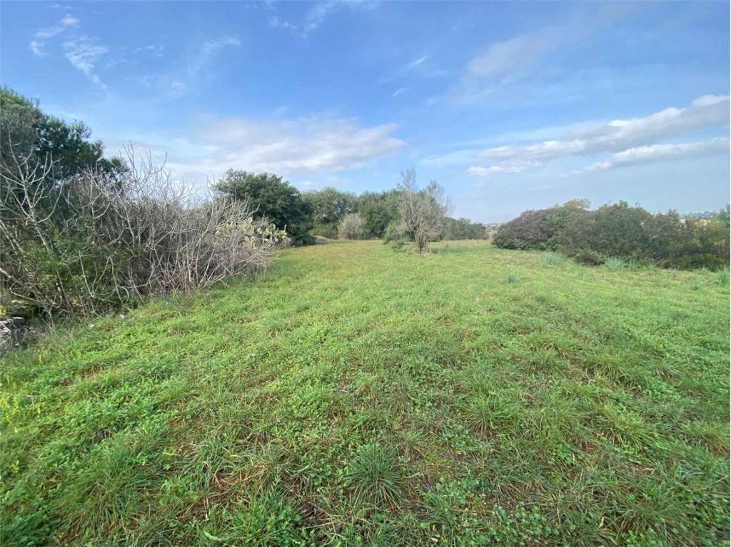 Terreno a Morciano di leuca in barbarano - Foto 2