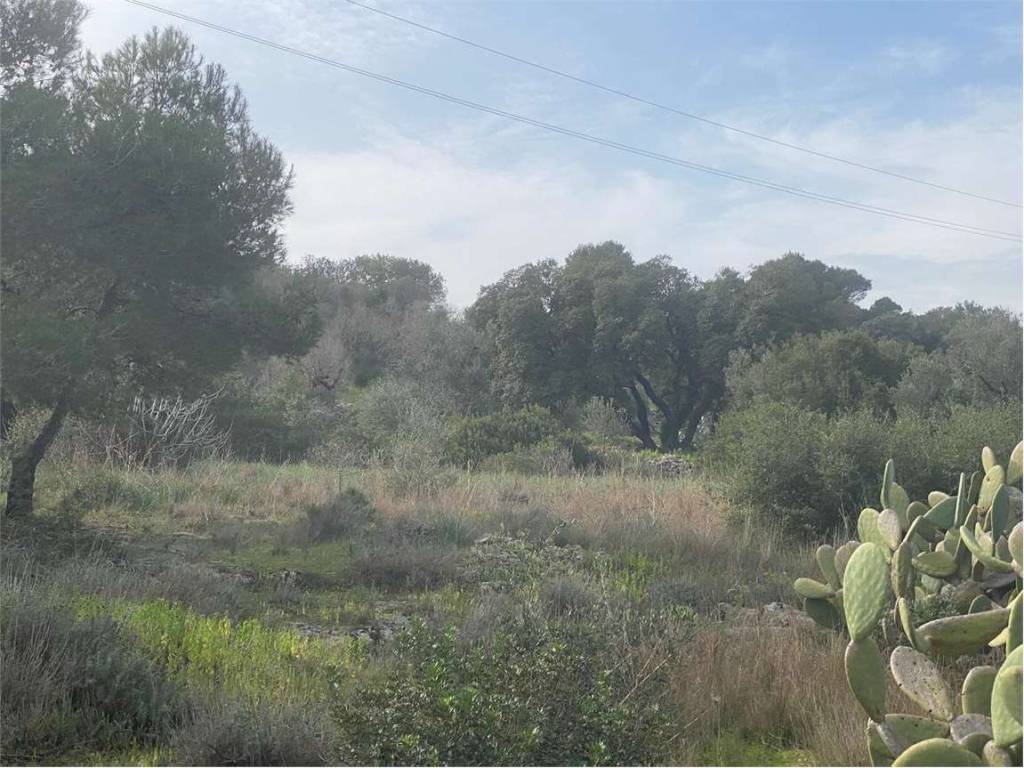 Terreno a Morciano di leuca in barbarano - Foto 3