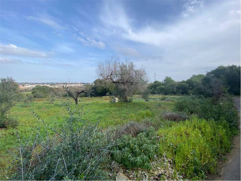 Terreno a Morciano di leuca in barbarano - Foto 4