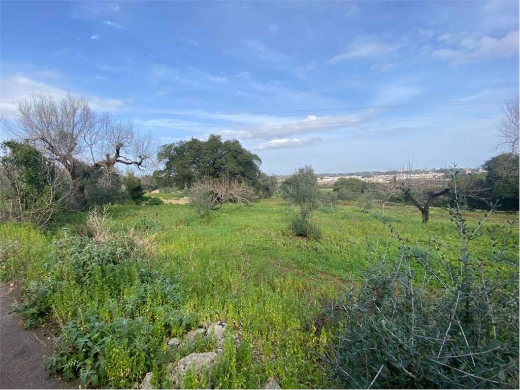 Terreno a Morciano di leuca in barbarano - Foto 5