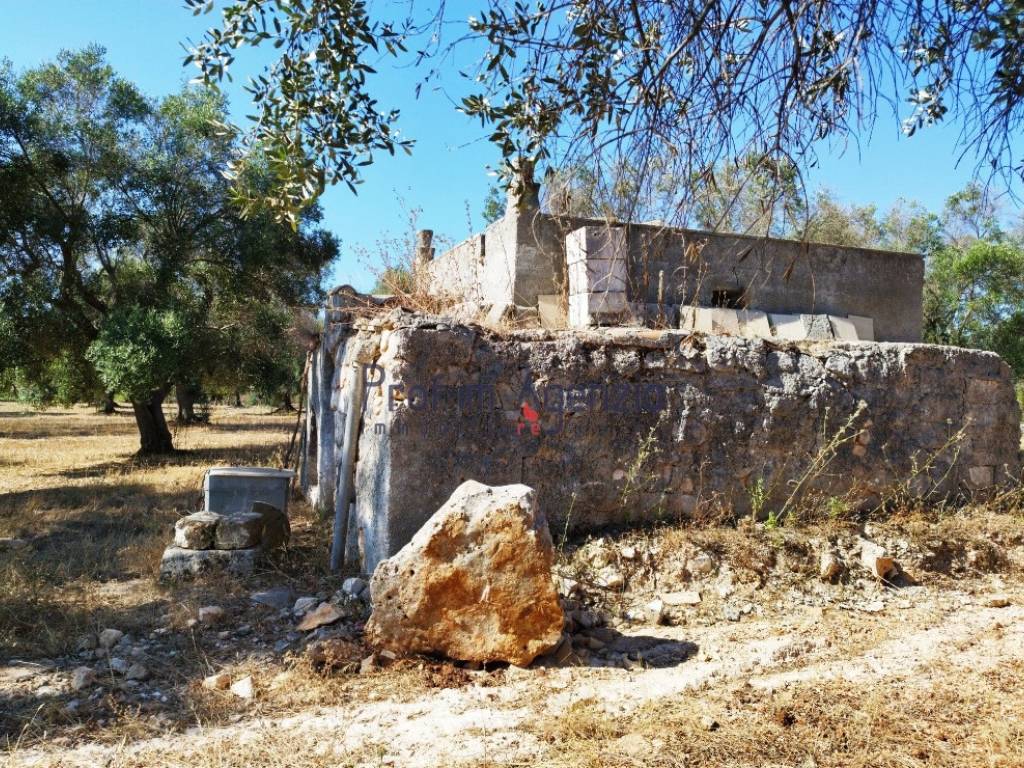 Rustico / casale a Carovigno - Foto 3
