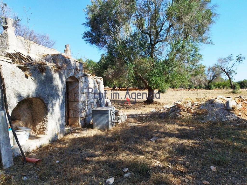 Rustico / casale a Carovigno - Foto 5