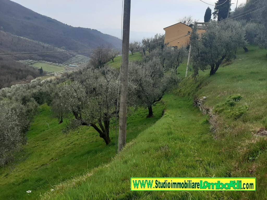 Rustico / casale a Montale in Via Fratelli Cervi - Foto 2