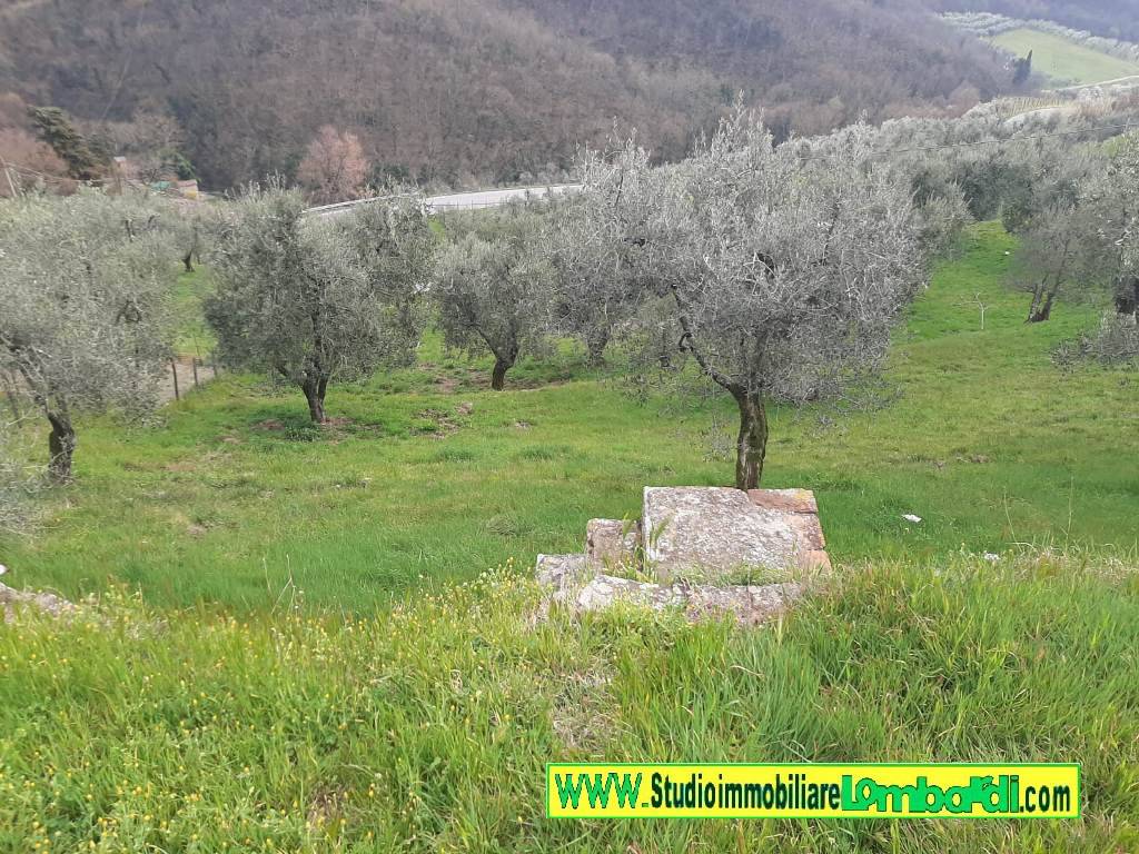 Rustico / casale a Montale in Via Fratelli Cervi - Foto 3