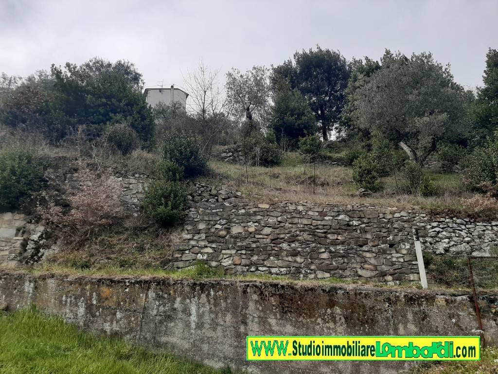 Rustico / casale a Montale in Via Fratelli Cervi - Foto 4